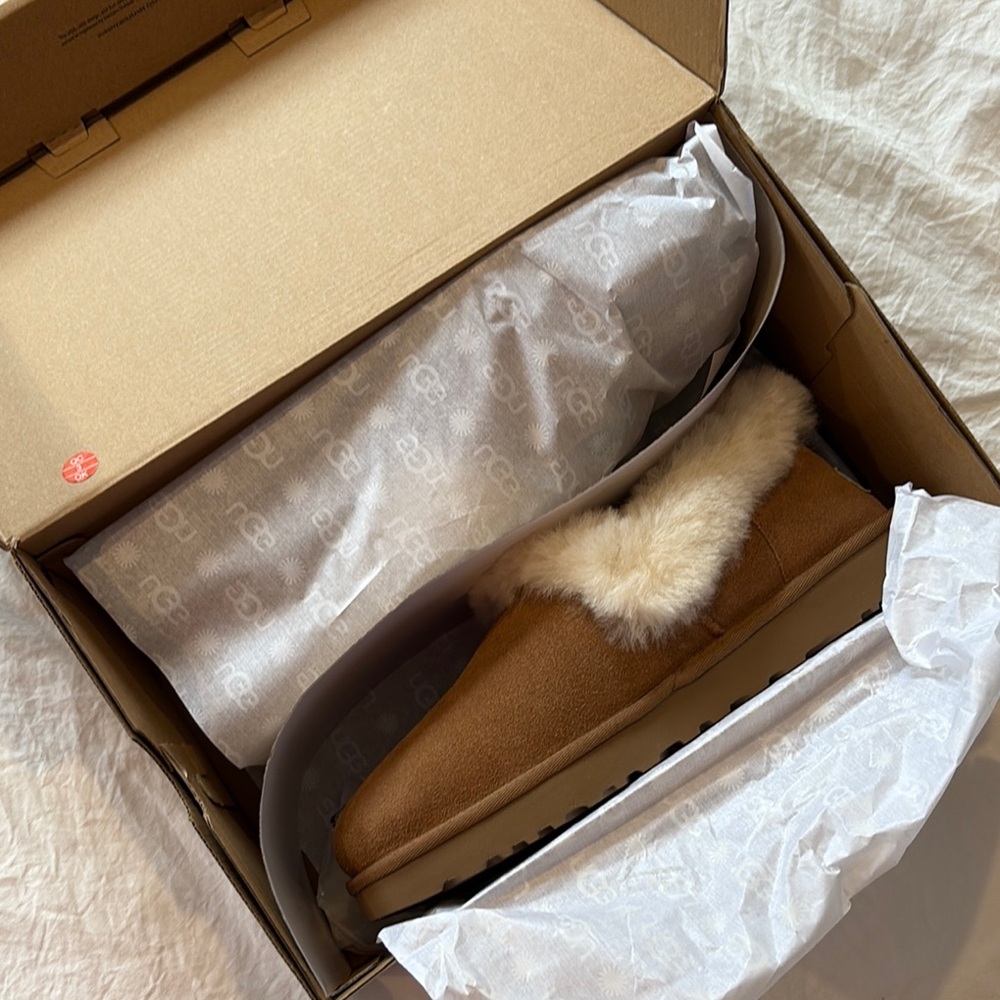 Womens uggs